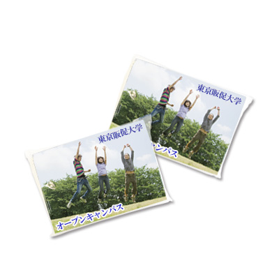 ポケットティッシュ(6枚入り)
